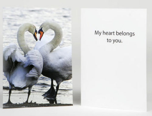 Put The Romance Back In Your Life With Romantic Greeting Cards